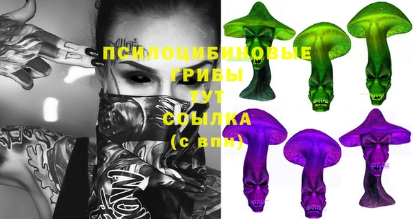 амф Арсеньев