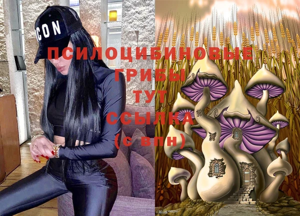 мяу мяу мука Армянск